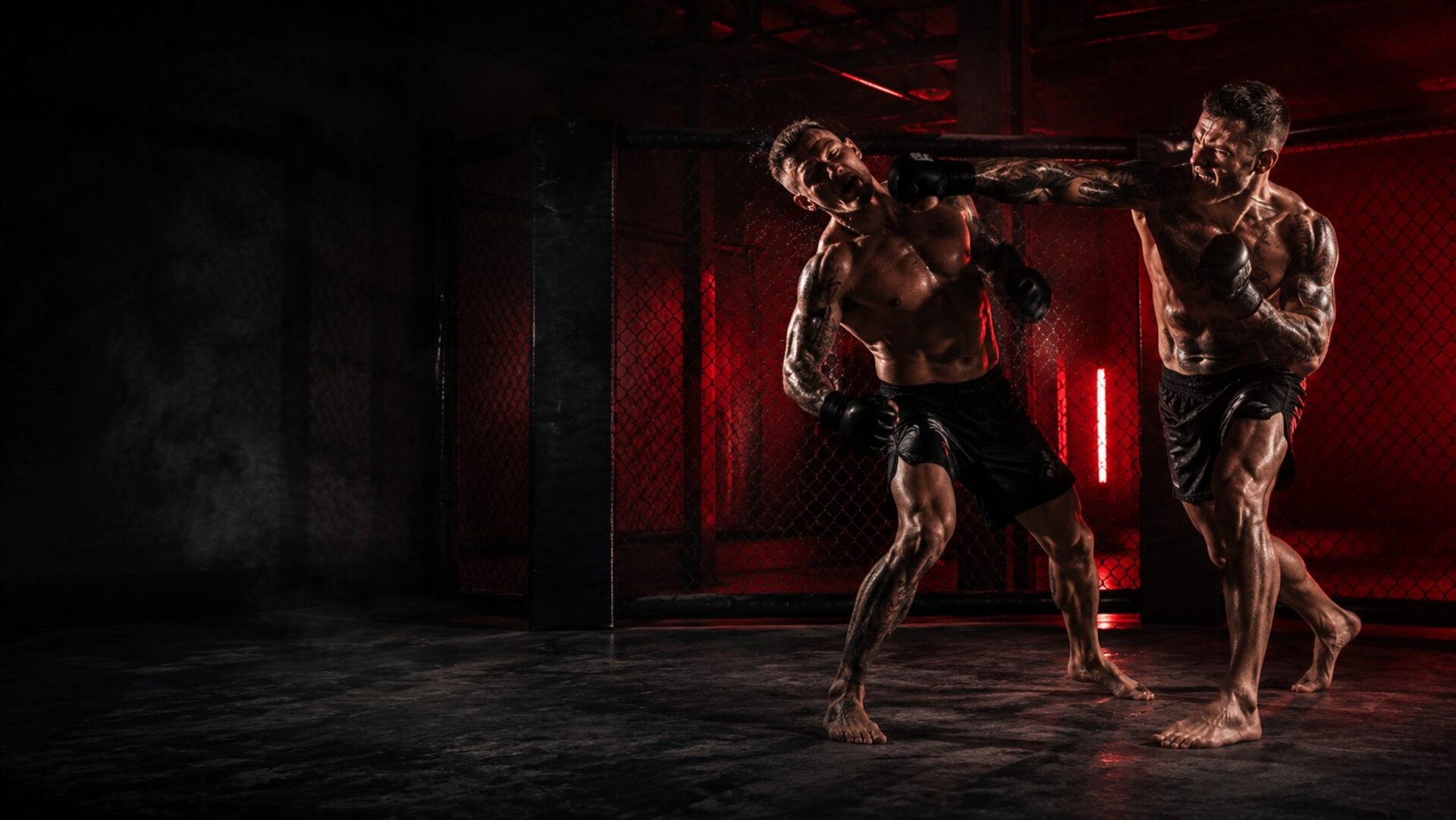 MMA-Sparring im Käfig bei MyFitness Ansbach